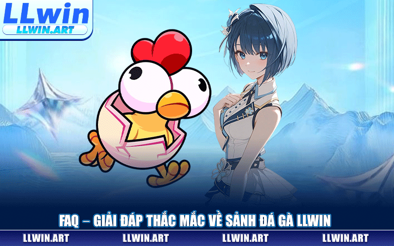 FAQ – Giải Đáp Thắc Mắc Về Sảnh Đá Gà LLWIN